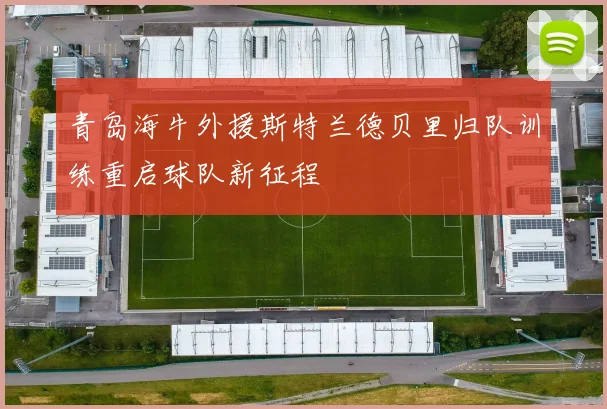青岛海牛外援斯特兰德贝里归队训练重启球队新征程