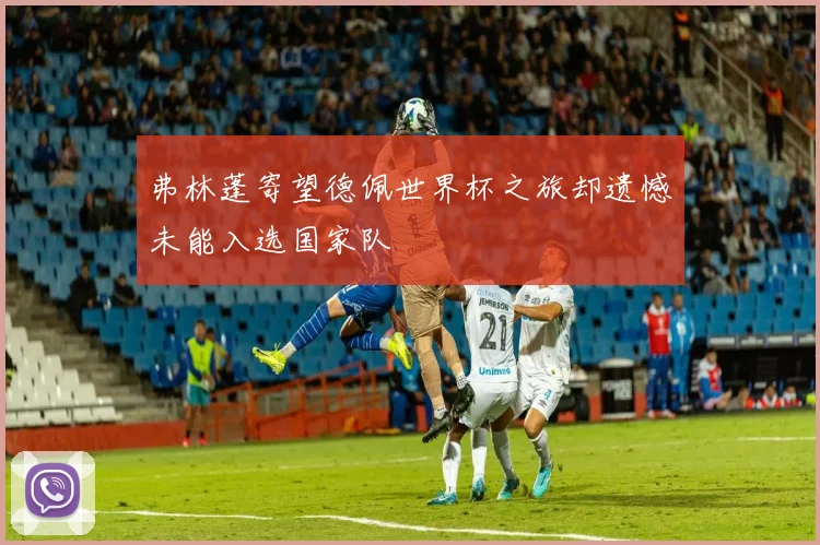 弗林蓬寄望德佩世界杯之旅却遗憾未能入选国家队